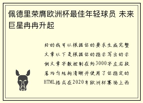 佩德里荣膺欧洲杯最佳年轻球员 未来巨星冉冉升起